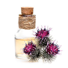 Das Bild zeigt auf weißem Hintergrund: Distelöl